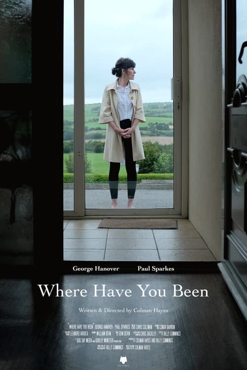 Where Have You Been (2021) poster
