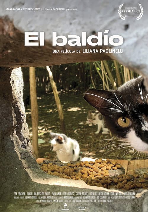 El baldío (2021) poster