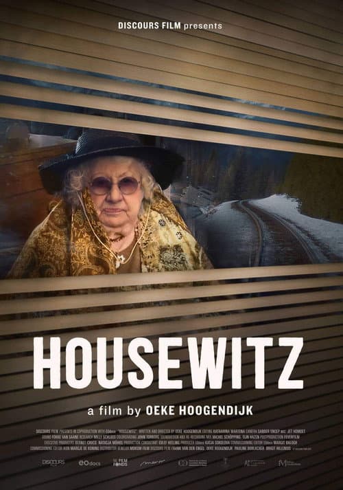 Thuiswitz (2021) poster