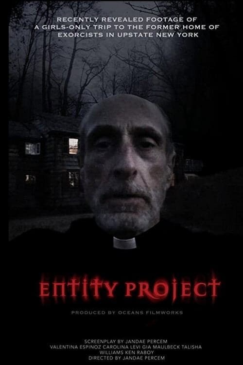 Entity Project (2019) poster
