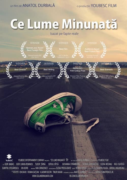 Ce lume minunată (2014) poster