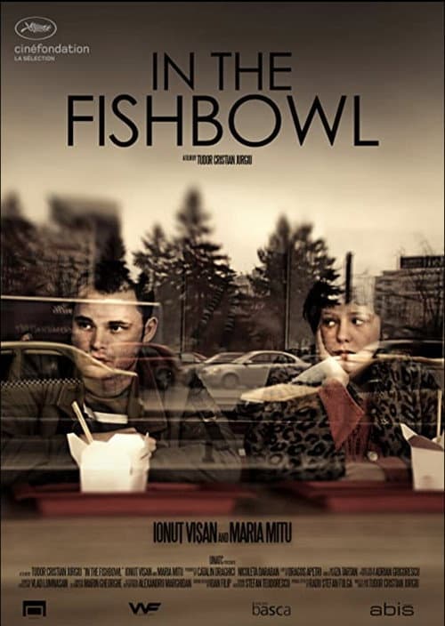 În Acvariu (2013) poster