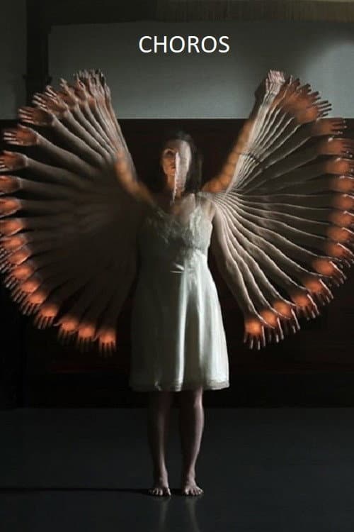 Choros (2010) poster