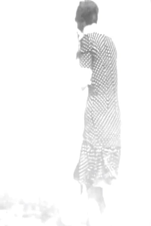 Flux (2003) poster