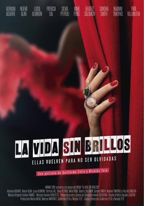 La vida sin brillos (2018) poster