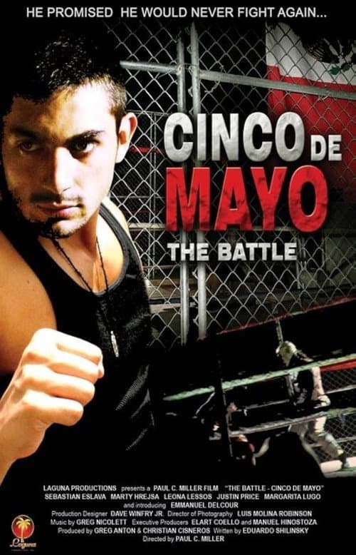 The Battle: Cinco de Mayo (2009) poster