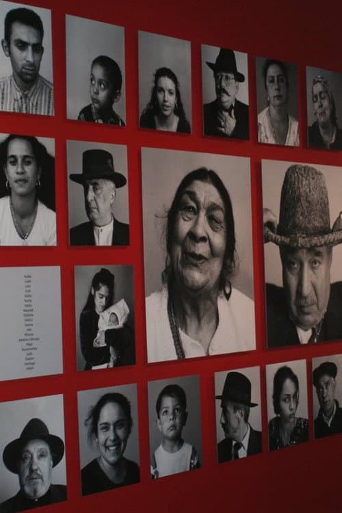 The Last Romani in Auschwitz (1994) poster