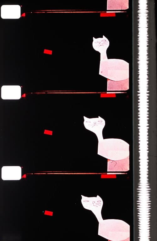 Cats (1956) poster