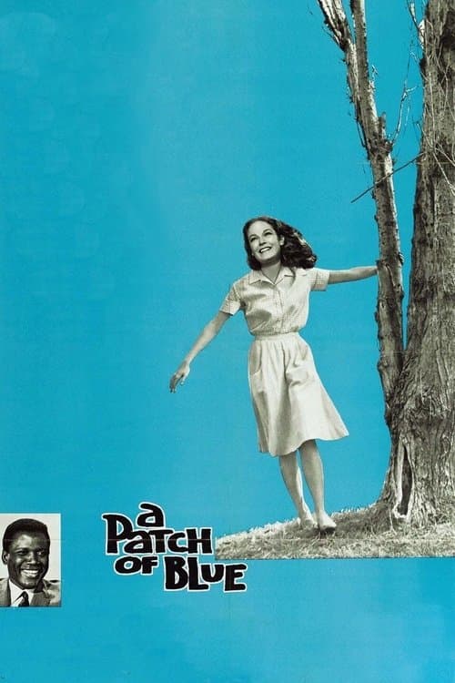 A Patch of Blue (1965) poster