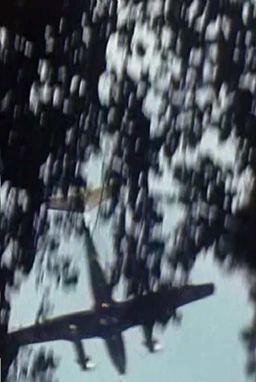 Flugzeuge II (2001) poster
