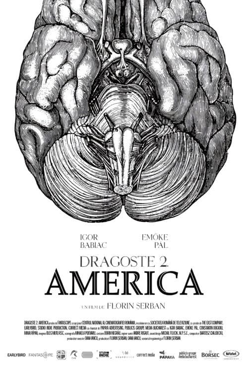 Dragoste 2. America (2018) poster