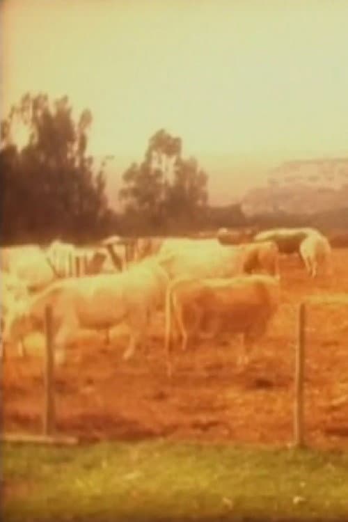 Vacas (2001) poster