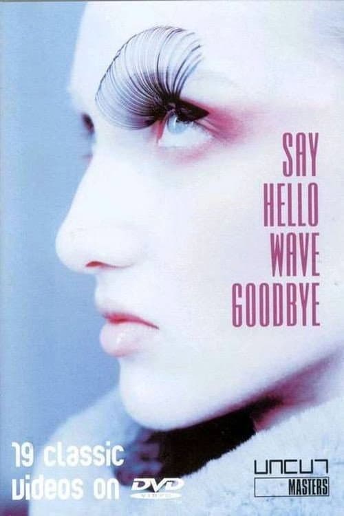 Say Hello, Wave Goodbye (2005) poster