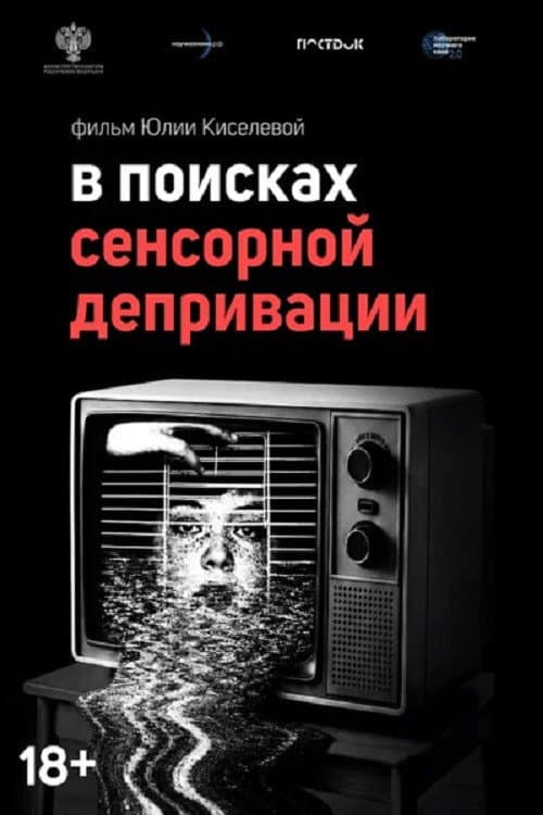 В поисках сенсорной депривации (2026) poster