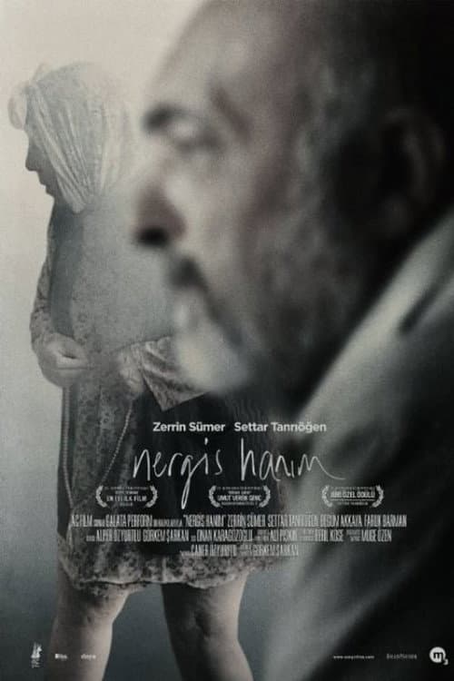 Nergis Hanım (2014) poster