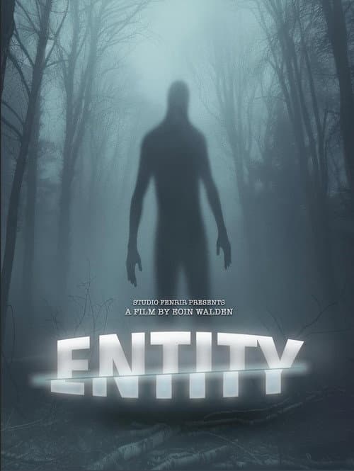 Entity (2025) poster