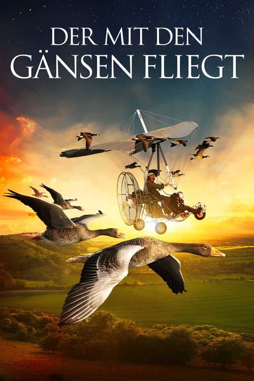 Les routes secrètes des oiseaux migrateurs (2014) poster