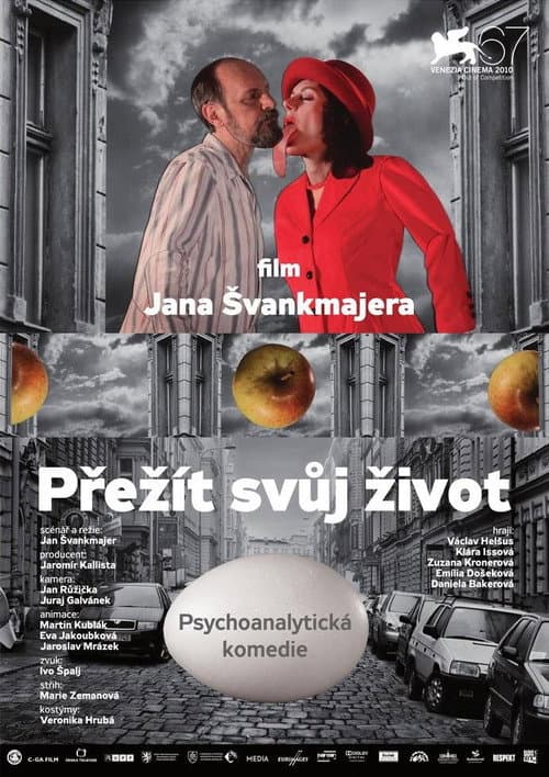 Přežít svůj život (2010) poster