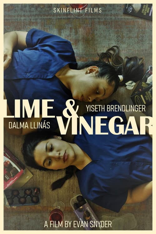 Lime & Vinegar (2024) poster