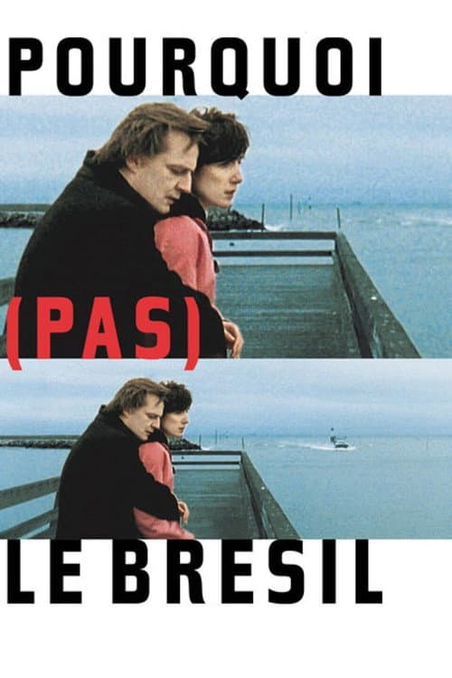 Pourquoi (pas) le Brésil (2004) poster
