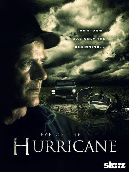 Eye of the Hurricane (2012) poster