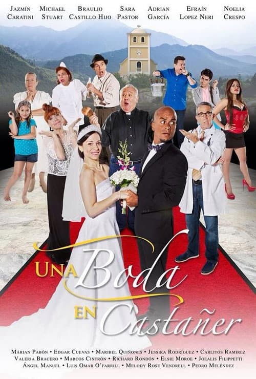 Una boda en Castañer (2015) poster