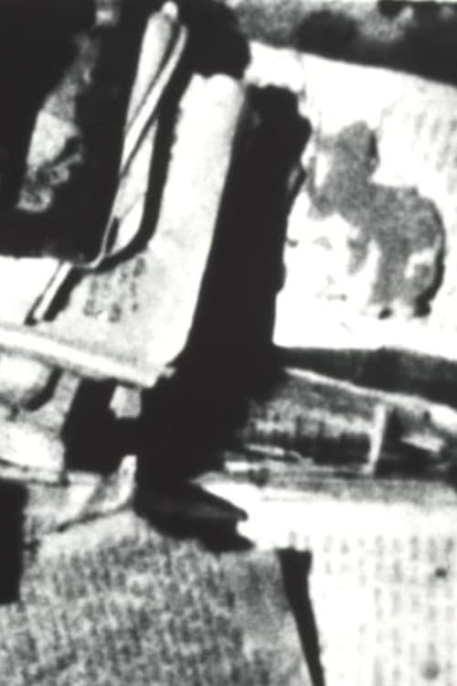 genizah; passages from the lublin book graveyard (2018) poster