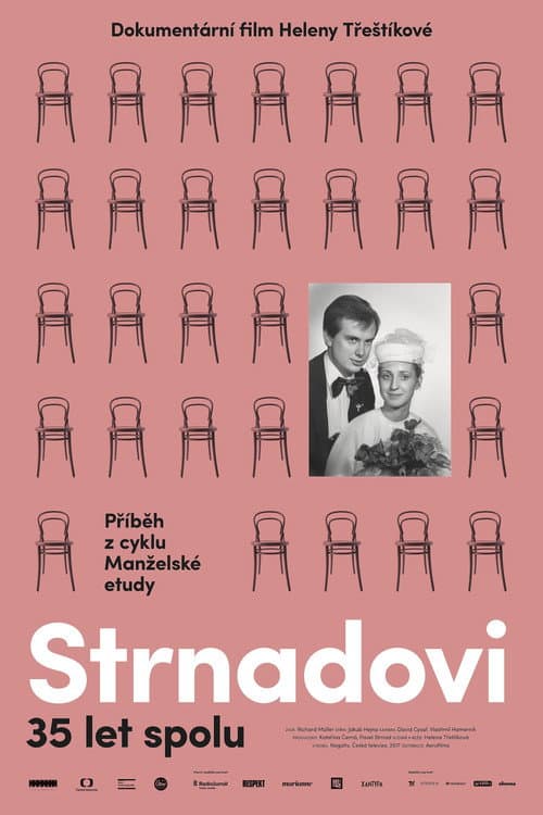 Strnadovi (2017) poster