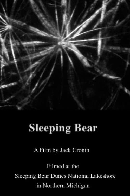 Sleeping Bear (2011) poster