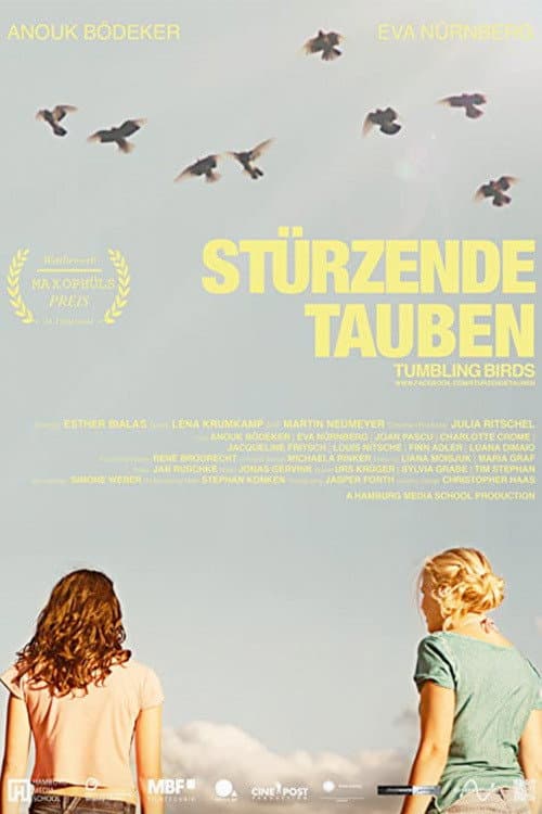 Stürzende Tauben (2013) poster
