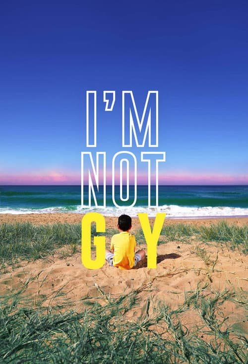 I'm Not Gay (2023) poster