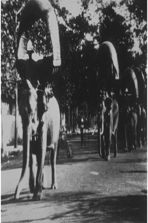 Promenades des éléphants à Phnom Penh (1899) poster