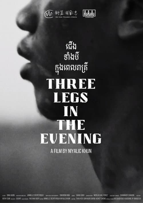 Three Legs in the Evening (2024) poster