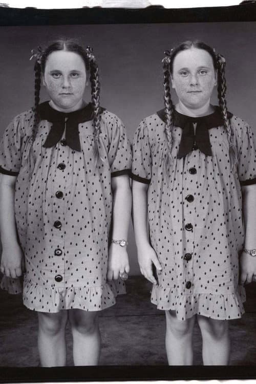 Twins (2002) poster