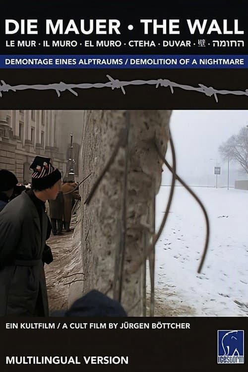 Die Mauer (1991) poster