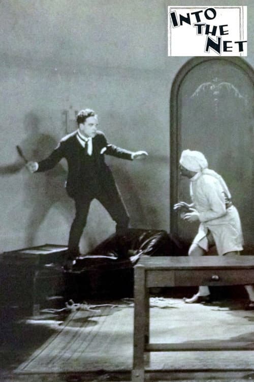 Into the Net (1924) poster