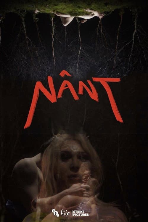 Nânt (2022) poster