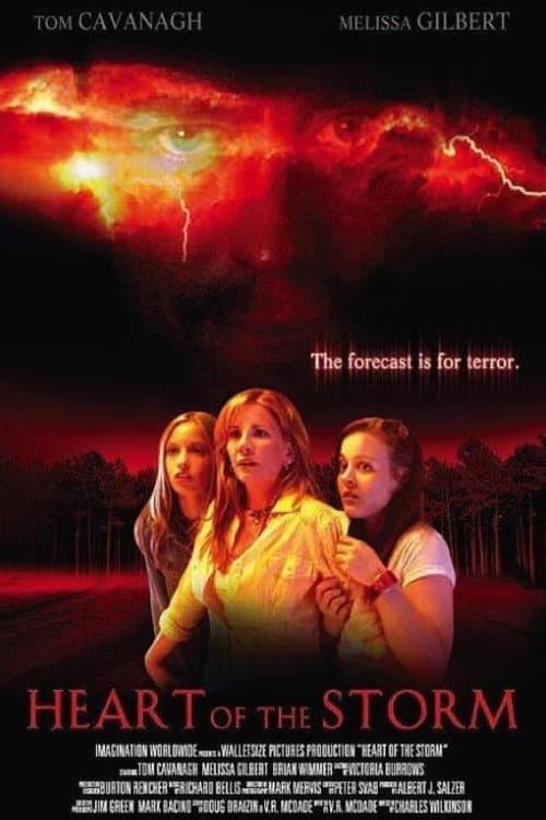 Heart of the Storm (2004) poster