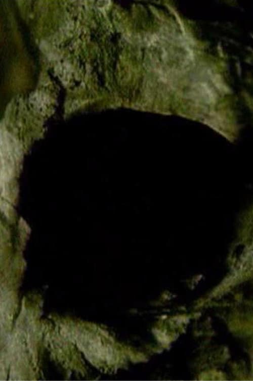 Midnight Black Earth (2003) poster