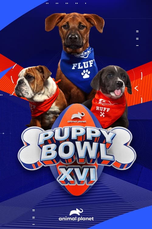 Puppy Bowl XVI (2020) poster