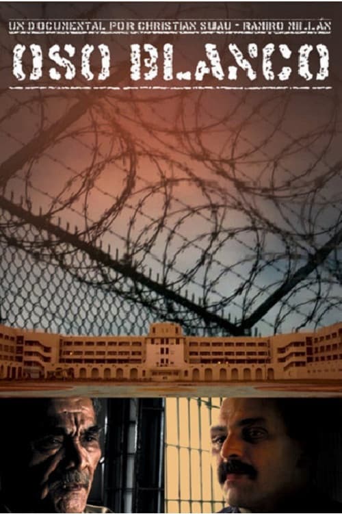 Oso Blanco (2009) poster