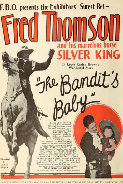 The Bandit's Baby (1925) poster