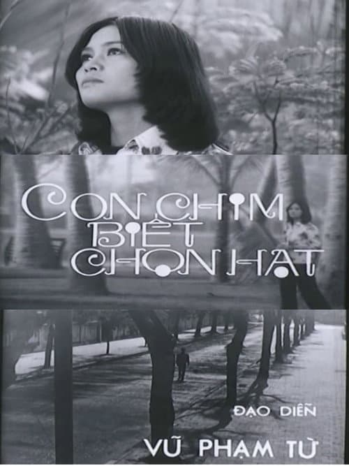 Con Chim Biết Chọn Hạt (1979) poster