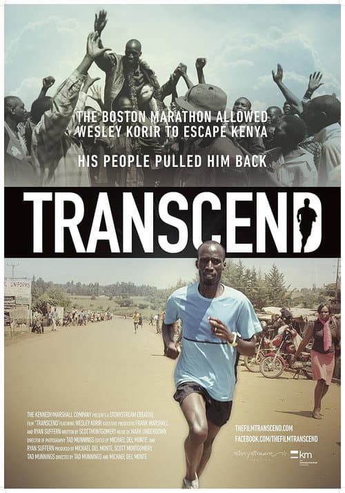 Transcend (2014) poster