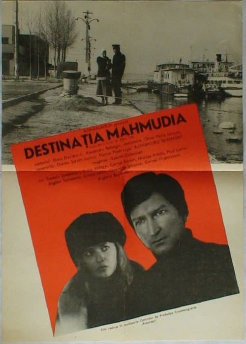 Destinația Mahmudia (1981) poster