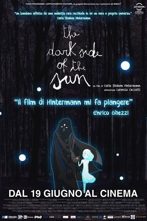 The Dark Side of the Sun (2011) poster