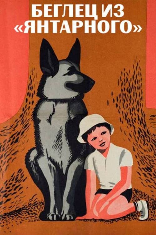 Беглец из «Янтарного» (1969) poster