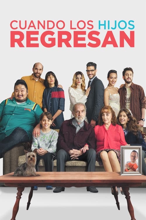 Cuando los Hijos Regresan (2017) poster