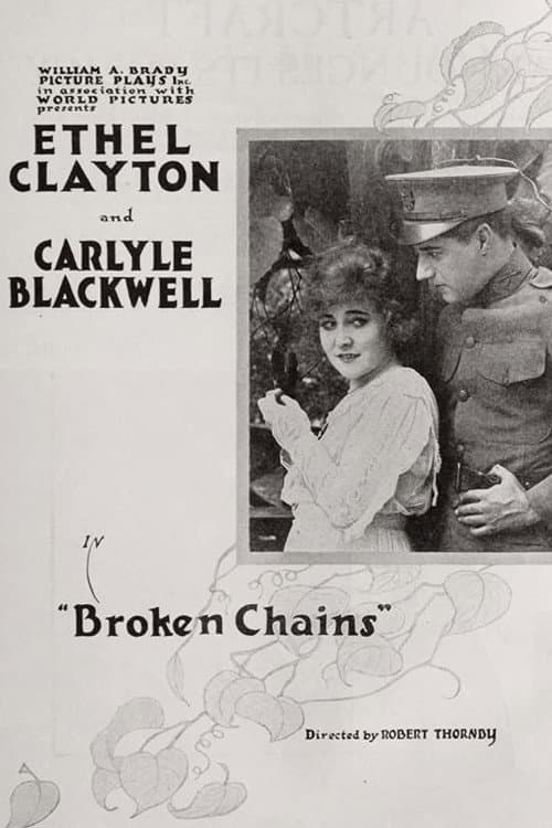 The New South (1916) poster