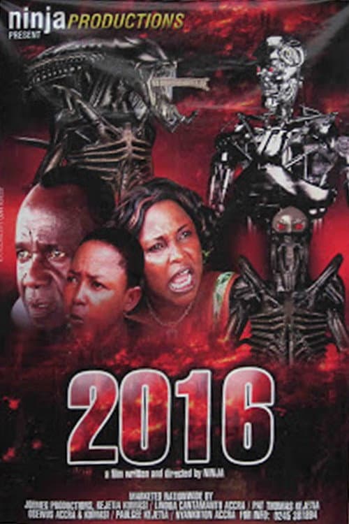 2016 2 (2010) poster